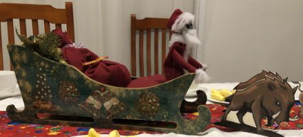 Hogfather on his sleigh